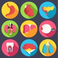 Set flat human organs icons illustration concept. Vector background design Royalty Free Stock Photo