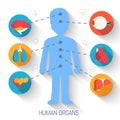 Set flat human organs icons illustration infographic concept. Vector background design. Template for website and mobile appliance Royalty Free Stock Photo