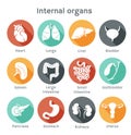 Set of flat icons with human internal organs Royalty Free Stock Photo