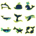 Set flat icons with long shadow whales