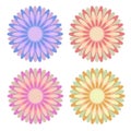Set of flat isolated colored yellow, red, pink, blue abstract flowers on a white background. Simple design for decoration Royalty Free Stock Photo
