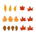 Set of flat leaves. Vector illustration of design elements for greeting cards, posters, wallpaper, surface, web design, textile, Royalty Free Stock Photo