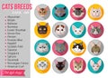 Set of flat popular breeds of cats icons