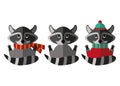 Set of flat raccoon icons, with snout, paws, tail, sweater and scarf.