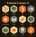 Set of flat retro icons human organs and systems