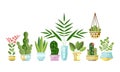 Set of flat style colorful houseplants in pots standing in line. Home decorative plants. Vector collection of indoor