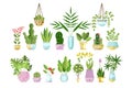 Set of flat style colorful houseplants in pots standing in line. Home decorative plants. Vector collection of indoor