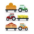 Set flat tractors with a cart corn, hay, tomato isolated on white background. The agricultural machinery transports