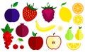 Set of flat vector icons of berries and fruits. Collection of various berries and fruits. Royalty Free Stock Photo