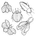1844 Insects, Set of flies, beetles, bees, wasps. Vector illustration. Black outline drawing. Isolate on a white background