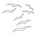 Set of a flock of flying seagulls. Vector. Continuous line drawing illustration