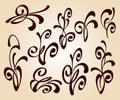 Set of floral design elements.Vector .Brown beige. Royalty Free Stock Photo