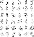 Set of Floral Design Elements on white.