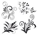 Set of floral elements Royalty Free Stock Photo