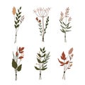 Set of floral elements. Botanical collection. bunches of wild herbs. Flowers, leaves, branches and other natural