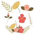 Set of floral elements for design. Vector illustration. EPS10. Flower Vintage Collection Set Clipart