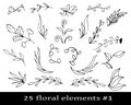 set of floral elements with laurel trees leaves Royalty Free Stock Photo