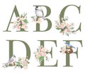 Set of floral letters A-F with apple tree flowers and spring birds Royalty Free Stock Photo