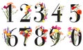 Set of floral numbers with colorful summer wildflowers