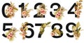 Set of floral numbers with watercolor boho bouquets of dried palm leaves and roses