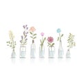 Set of floral pots for your design