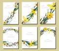 Set of floral spring templates with bunches of white yellow daffodils and willow. Cards with narcissus and salix. For