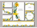 Set of floral spring templates with cute bunches of white and yellow daffodils. Business card with narcissus. For Royalty Free Stock Photo