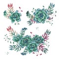 Set of floral succulents compositions in hand draw style. Composition of plant and branches. Vintage elements for Royalty Free Stock Photo