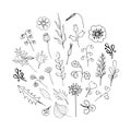 Set of floral  doodles with black outline in a circle on a white background Royalty Free Stock Photo