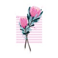 Set of floral vintage hand drawn protea Royalty Free Stock Photo