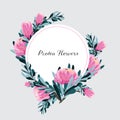 Set of floral vintage hand drawn protea, Royalty Free Stock Photo