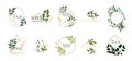 Set of floral wedding logos and monogram with elegant green leaves