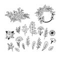 Set of floristic doodles. Hand-drawn flowers, leaves and twigs.