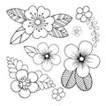 1101 set, set of flower elements in a graphic style, vector illustration, isolate on a white background Royalty Free Stock Photo