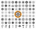 Set of flower icons and guilloche. Vector illustration. Royalty Free Stock Photo