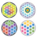 Set of Flower of Life Icons / Symbols Multicolored and Rainbow Colors