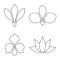 Set of flower line art vector