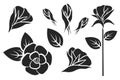 Set of flower silhouette isolated. Hand drawn black rose, rosebud, leaves for floral design, logo, tattoo, cosmetic industry. Royalty Free Stock Photo