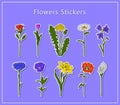 Set of flower stickers, rose, tulip, dandelion, calla, chamomile, bell, cornflower, violet, narcissus, poppy with black