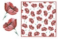 Set of flower and tileable background with red poppies. Colorful flowers. Watercolor hand drawn illustration isolated on white Royalty Free Stock Photo