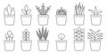 A set of flowerpots. Decoration floral. Spring flower illustration. Vector illustration. Stock image. Royalty Free Stock Photo