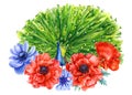 Set of flowers and birds, poppies, anemones, peacocks on an isolated white background, hand drawing, watercolor Royalty Free Stock Photo