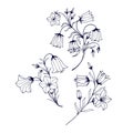 Set of flowers bluebells. Vector stock illustration eps 10. Outline. Hand drawing.