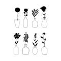 Set of different flowers and plants. Vases and bottles. Floral compositions. Interior decor. Vector design elements.