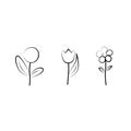 Set of flowers - Dandelion, Tulip, Chamomile. Outline drawing. Simple linear sketch