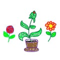 Set flowers in a deliberately childish style. Imitation child drawing. Kid sketch, painting felt-tip pen or marker. Kid painted,