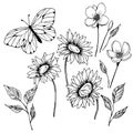 533 set of flowers, vector illustration, isolate on a white background