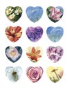 Set of flowers heart shape Royalty Free Stock Photo