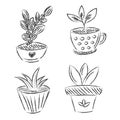 Set of flowers house plant hand drawn vector outline doodle icon. Collectoin decorative potted house plant sketch