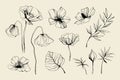 Set of flowers, leaves, leaf, buds hand drawn vector sketch. Hand drawn ink floral line drawing. Wild flowers minimalist Royalty Free Stock Photo